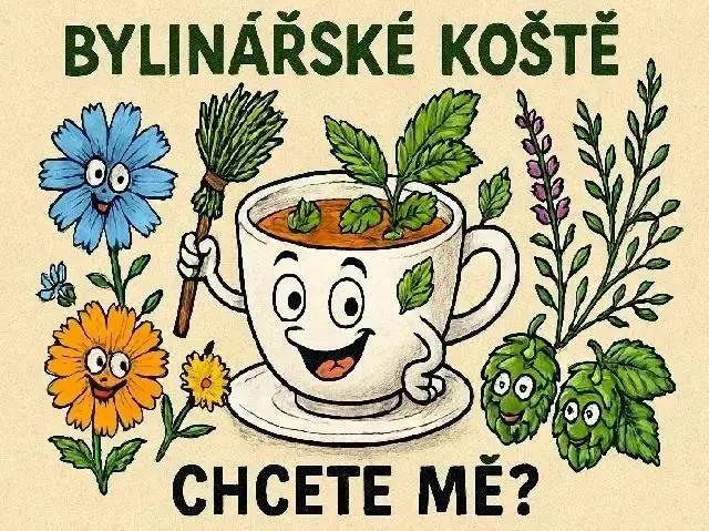 Bylinářské koště chcete mě